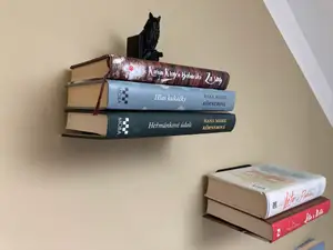 Invisible bookshelf