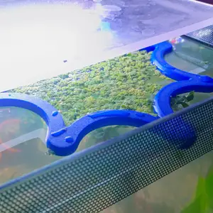 Fish Tank Duckweed Corral Ring