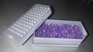 No-Moist
