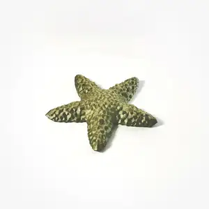 Pyrite Starfish