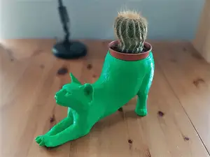 Streching Cat Cactus Pot