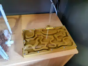 Formicarium Rectangle XL