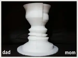 " 2 Face " flower Vase - illusion