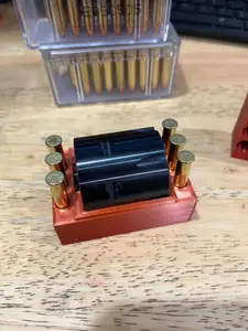 .22LR/.22Mag Case with bullets