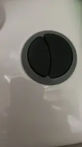 Toilet Button