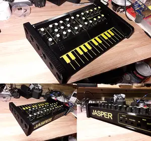 Jasper EDP WASP synthesizer clone case