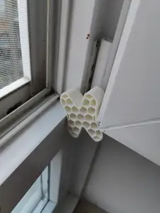 Window Stopper