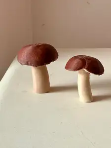 2 real Burgundy mushrooms - scanned