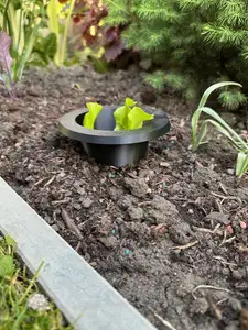 Slug Protection Ring for Seedlings – Stackable
