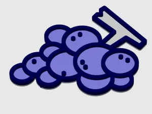Grapes Coaster