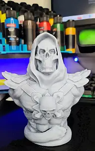 Skeletor Bust High Def Pre Supported Lychee Pro