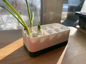 Green Onion Regrow Pot
