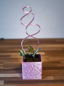Modular Plant Pot with atachable plant supports