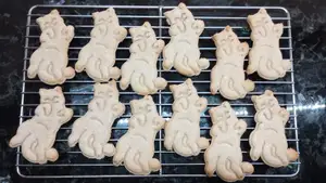 Lazy Cat Cookie Cutter