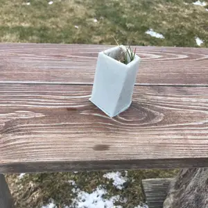 Modern box for seeds and flowers