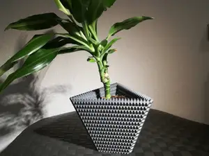 Bilinski's Vase - Golden Rhombus