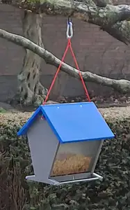 Vogel-Futterhaus-V