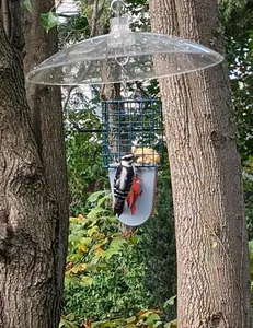 Tail Prop (or tail support) for Suet Bird Feeder
