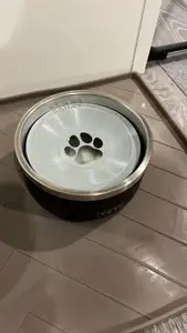 Yeti Boomer 4 Dog Bowl float splash guard