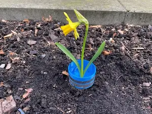 Snail pot