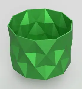Cactus pot