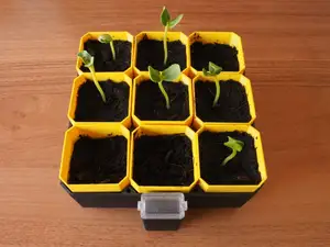 Small Self-Watering Seed Starter