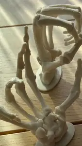 Skeleton Hands