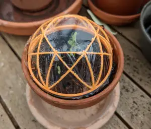 Mini-Greenhouse