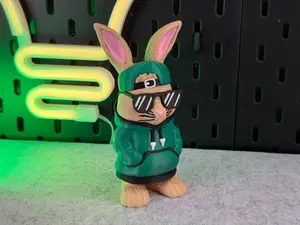 Cool Bunny
