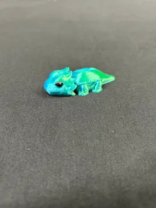 Bearded Dragon
