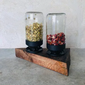 All-in-one sprout growing jar strainer