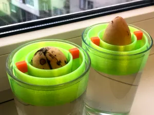 Avocado seed floater