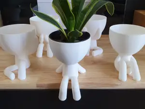 Hydroponic, Self-Watering, Seeds starter, Robert Planters