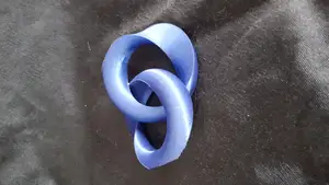 Torus: Mobius bisection