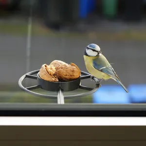 Window bird feeder