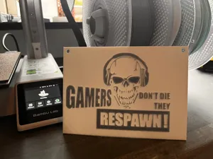 Gamers Dont die sign