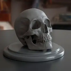 HUMAN SKULL