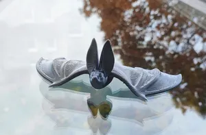 Cute Bat
