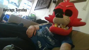 Foxy Cosplay Head