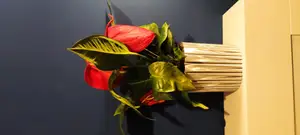 Large beautiful flower pot with automatic watering