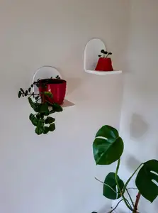 Mini plant shelf / floating shelf