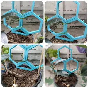 Modular trellis system for climbing plants