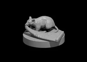 Pizza Rat