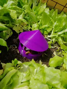 Snail and slug trap