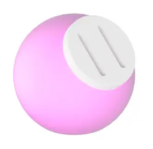 Minimal Pig Design | Piggy Bank