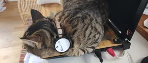 Chipolo One holder for cat collar
