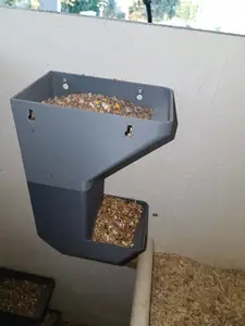 Feed dispenser for chickens or birds