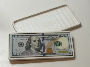US Dollar Bill Case for International Travel (holds up to 30x USD banknotes)