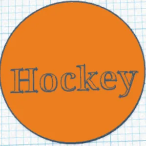 Air Hockey Puck