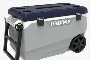 Cooler Insert for igloo cooler